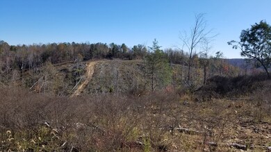 0 Highway 128 unit 2207517, Linden, TN 37096 - photo 2