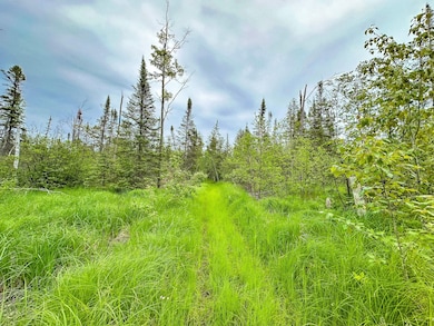 Piper Rd, Ossineke, MI 49766 - photo 6