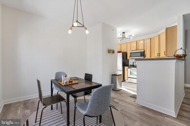 22641 Blue Elder Terrace unit 302, Ashburn, VA 20148 - photo 7