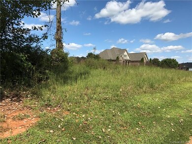 000 Doe Run Ln, Statesville, NC 28625 - photo 3