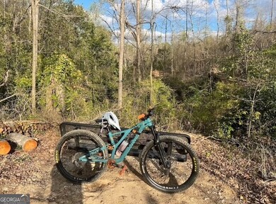 830 Ray St, Griffin, GA 30223 - photo 6