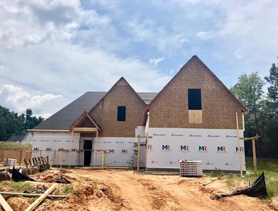 410 Elizabeth Ct, Oxford, MS 38655 - photo 5