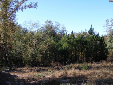 149 Branham Branch Rd, Swansea, SC 29160 - photo 5