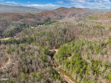 Tr1-4 Mossy Cove Way, Sevierville, TN 37876 - photo 6