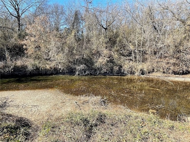 5439 Lake Granbury Trail, Granbury, TX 76048 - photo 4