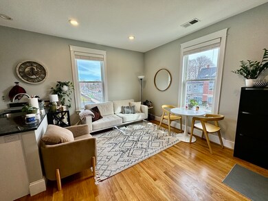 405 S Huntington Ave unit 2R, Jamaica Plain, MA 02130 - photo 4