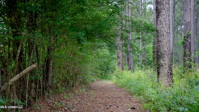 52 Acre-Lauderdale-MWLG-08