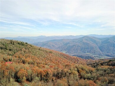 Drone photo with estimated view in front of trees at street level