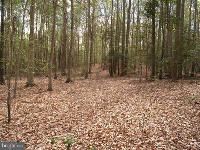 0 Reservation Ln, Reedy Church, VA 22546 - photo 6