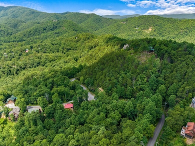 1005 Laurel Rd, Townsend, TN 37882 - photo 6