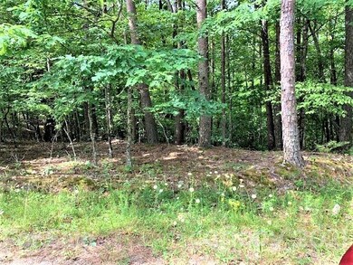 Lot 309 Sanderling Ct, Lake Lure, NC 28746 - photo 4