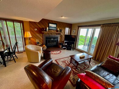 1476 Ledges, Wintergreen Resort, VA 22967 - photo 4