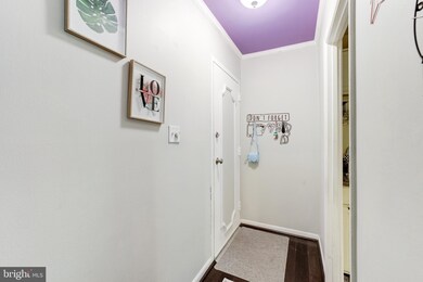 3800 Lyndhurst Dr unit 203, Fairfax, VA 22031 - photo 5