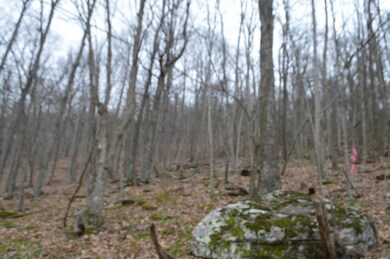 Spraker property 1