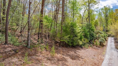 0 Memory Ln, Nebo, NC 28761 - photo 7