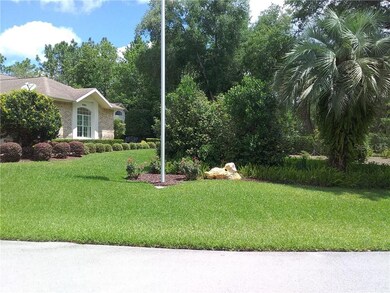 9582 SW 195th Cir, Dunnellon, FL 34432 - photo 6