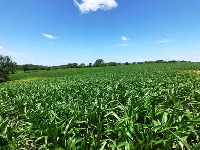 98.33 acres Pikes Peak Rd, Lancaster, WI 53813 - photo 2