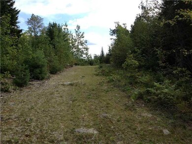 Land.