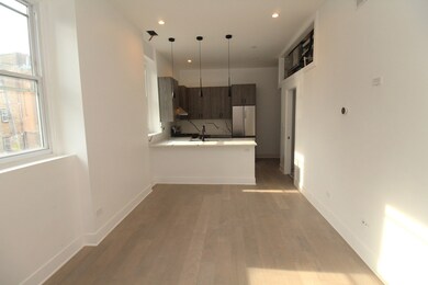 1236 W Hubbard St unit 2N, Chicago, IL 60642 - photo 2