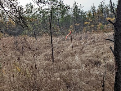 0 E Lincoln St, Brohman, MI 49312 - photo 3