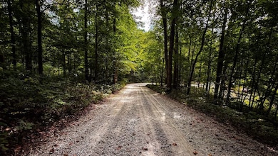 5 E Scotland Rd, Bloomfield, IN 47424 - photo 3