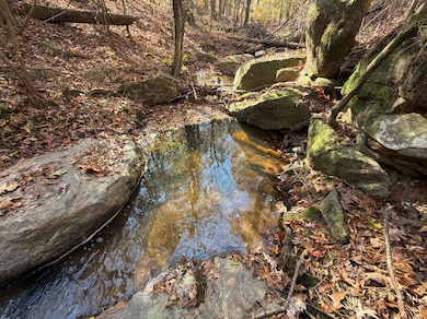 0 Thurman Baccus Rd unit 25621897, Social Circle, GA 30025 - photo 3