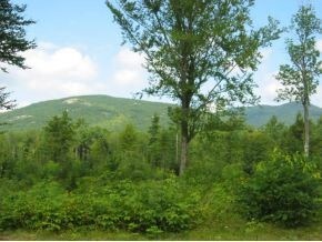 Lot 22 Lyndsay Ln, Tuftonboro, NH 03254 - photo 3