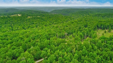 15.18ac Mount Helen Rd, Allardt, TN 38504 - photo 3