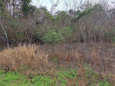 01 Muldoon Dr, Summerton, SC 29148 - photo 4