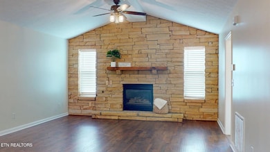 EagleViewDr-3