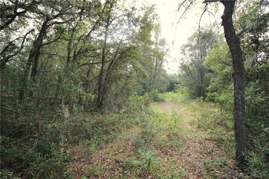 4344 N Indianhead Rd, Hernando, FL 34442 - photo 2