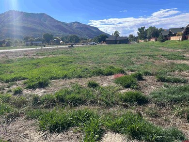 161 W Dalton Rd, Durango, CO 81301 - photo 4