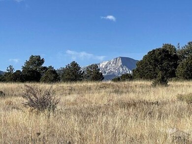 Meadow, Pines, and View