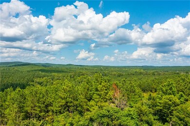 0 Camp Ranch Rd, Broken Bow, OK 74728 - photo 2