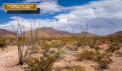 Nashoba Dr, El Paso, TX 79928 - photo 4