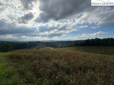 0 Tbd Topia Rd, Piney Creek, NC 28663 - photo 2