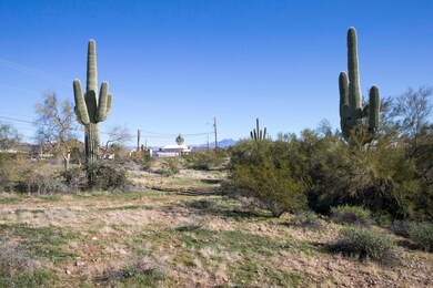 83U1136 - FACING EAST