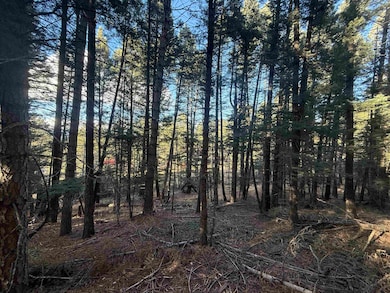 Lot 72 Mammoth Mountain Rd, Angel Fire, NM 87710 - photo 4