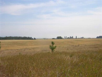 0 W Akers Ln, Colbert, WA 99005 - photo 7