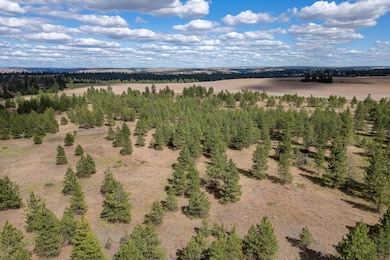 35450 Prairie Ln N unit Lot 2, Creston, WA 99117 - photo 6