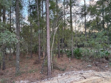 13056 SW 64th Ln, Ocala, FL 34481 - photo 7