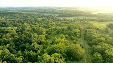 Hazel Rd, Newtown, MO 64667 - photo 3