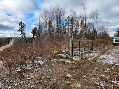 Lot 2 Greenleaf Brook Acres, Amity, ME 04471 - photo 7