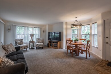 1650 Grove Ave unit A, Schaumburg, IL 60193 - photo 7