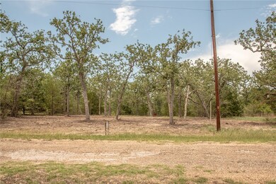 View of local wilderness