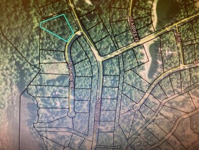 Lot 401 Blackberry Ln NE, Shellman Bluff, GA 31331 - photo 4