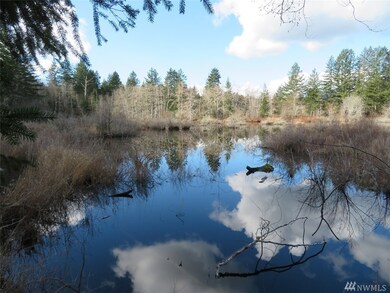 0 Wayne Rd W unit 1740283, Seabeck, WA 98380 - photo 6