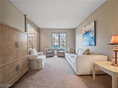 Carpeted living room featuring a textured ceiling