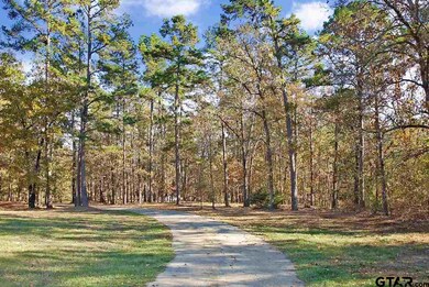 14652 County Road 2337, Tyler, TX 75707 - photo 4