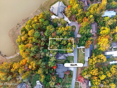 0 Kini Place unit 4132115, Diamondhead, MS 39525 - photo 5